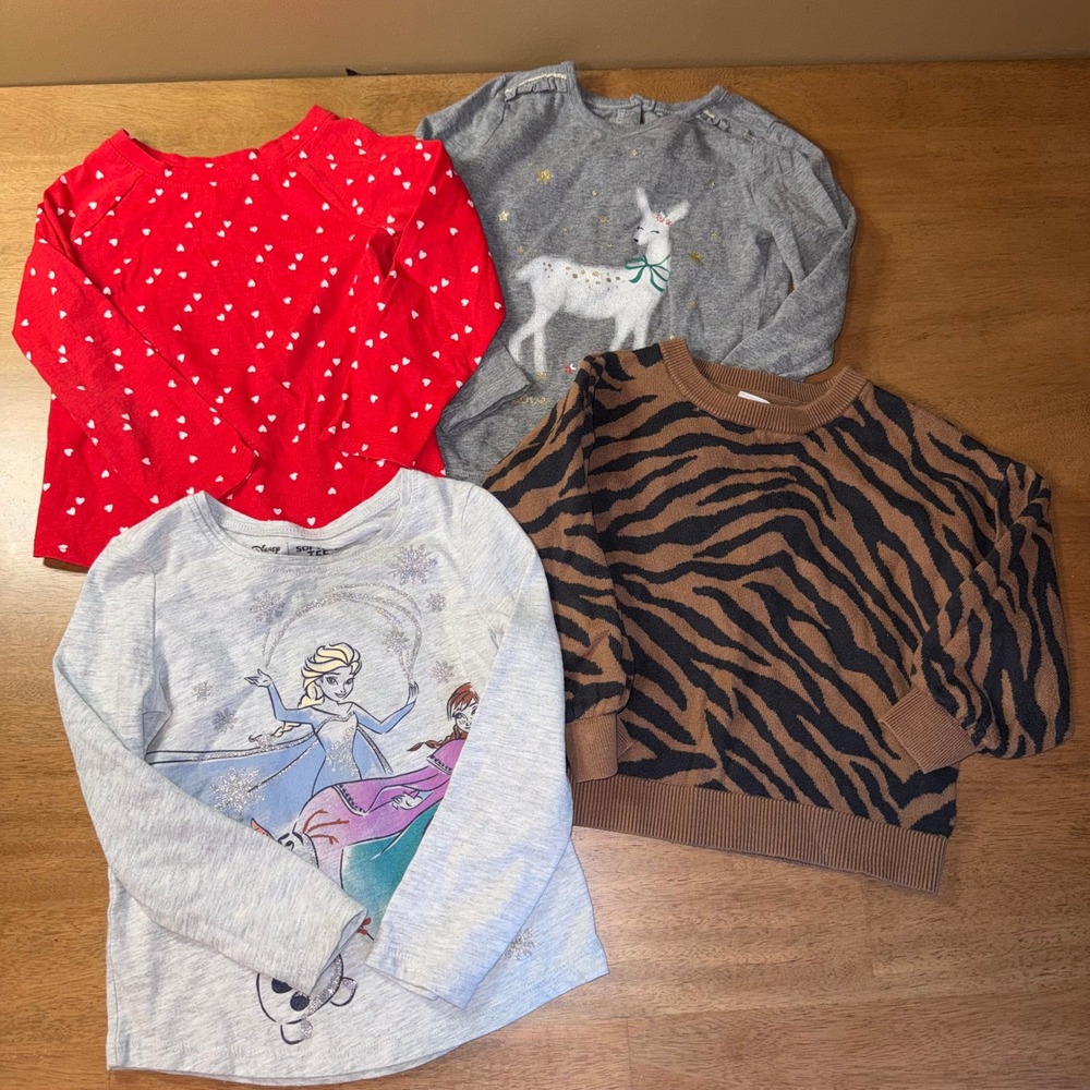 Girls 3T Lot of 4 Tops Carters Cat & Jack Disney Baby Gap Zebra Sweater Hearts